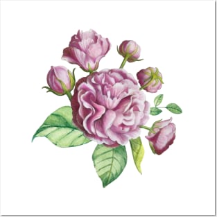 Camellia Rose Garden Flowers Posters and Art